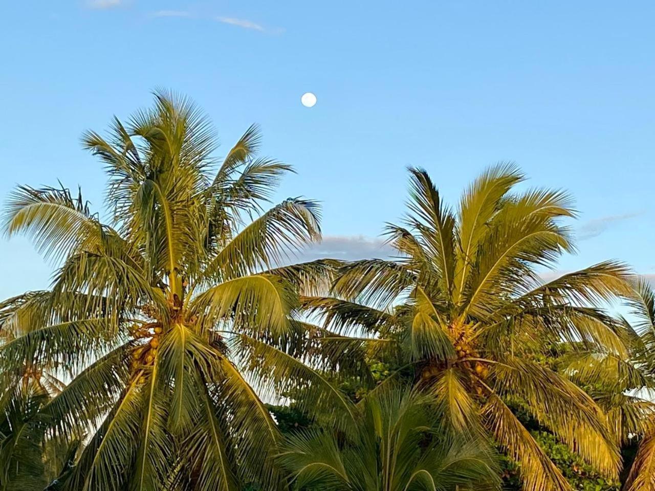 Sasagara Beach Villa Tangalle Exterior foto